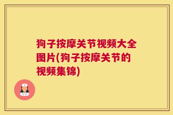 狗子按摩关节视频大全图片(狗子按摩关节的视频集锦)
