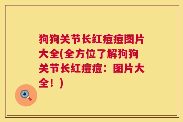 狗狗关节长红痘痘图片大全(全方位了解狗狗关节长红痘痘：图片大全！)