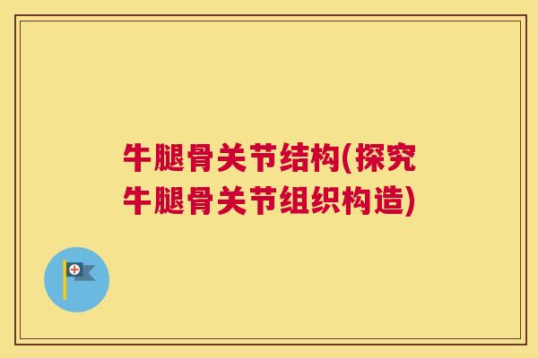 牛腿骨关节结构(探究牛腿骨关节组织构造)