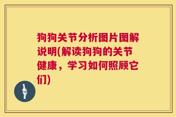 狗狗关节分析图片图解说明(解读狗狗的关节健康，学习如何照顾它们)