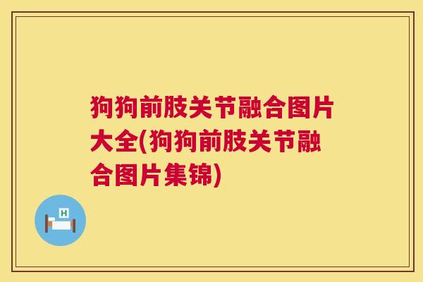 狗狗前肢关节融合图片大全(狗狗前肢关节融合图片集锦)