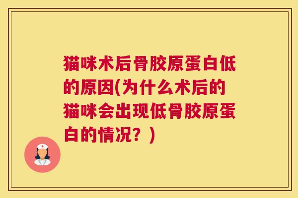 猫咪术后骨胶原蛋白低的原因(为什么术后的猫咪会出现低骨胶原蛋白的情况？)