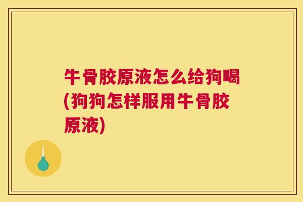 牛骨胶原液怎么给狗喝(狗狗怎样服用牛骨胶原液)