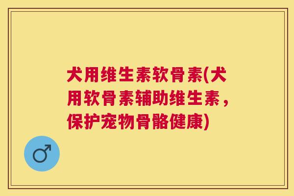 犬用维生素软骨素(犬用软骨素辅助维生素，保护宠物骨骼健康)