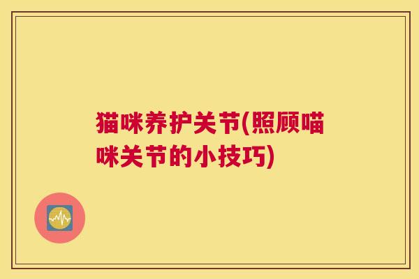猫咪养护关节(照顾喵咪关节的小技巧)