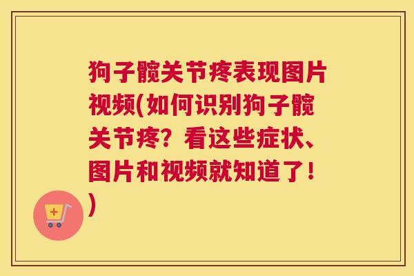 狗子髋关节疼表现图片视频(如何识别狗子髋关节疼？看这些症状、图片和视频就知道了！)