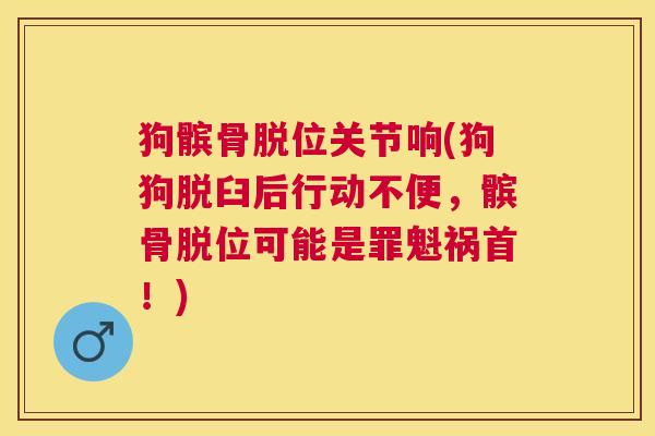 狗髌骨脱位关节响(狗狗脱臼后行动不便，髌骨脱位可能是罪魁祸首！)