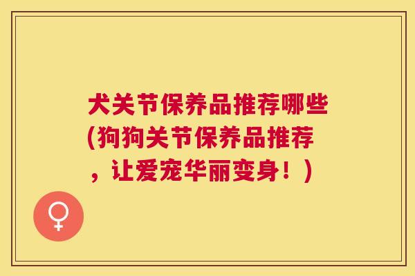 犬关节保养品推荐哪些(狗狗关节保养品推荐，让爱宠华丽变身！)