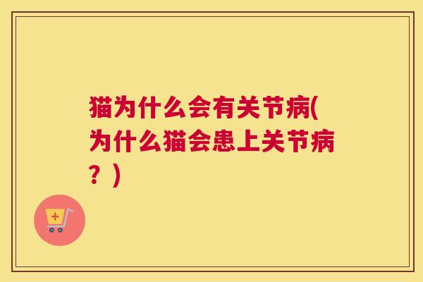 猫为什么会有关节病(为什么猫会患上关节病？)