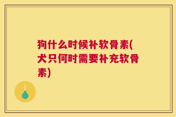 狗什么时候补软骨素(犬只何时需要补充软骨素)