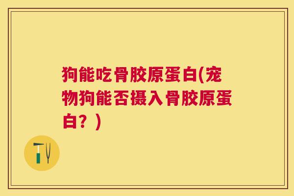 狗能吃骨胶原蛋白(宠物狗能否摄入骨胶原蛋白？)