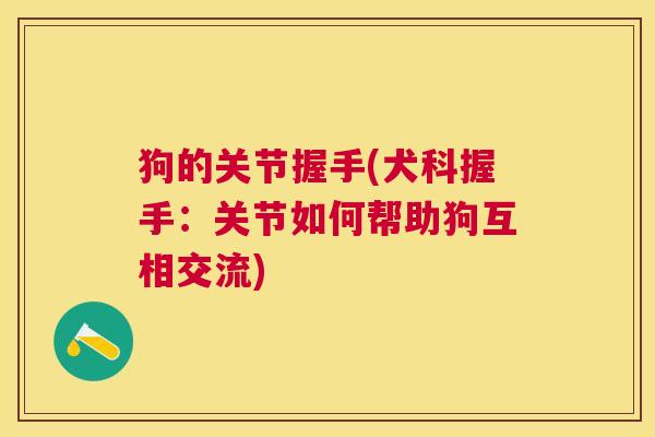 狗的关节握手(犬科握手：关节如何帮助狗互相交流)