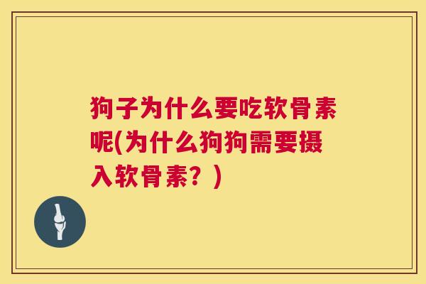 狗子为什么要吃软骨素呢(为什么狗狗需要摄入软骨素？)