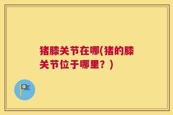 猪膝关节在哪(猪的膝关节位于哪里？)