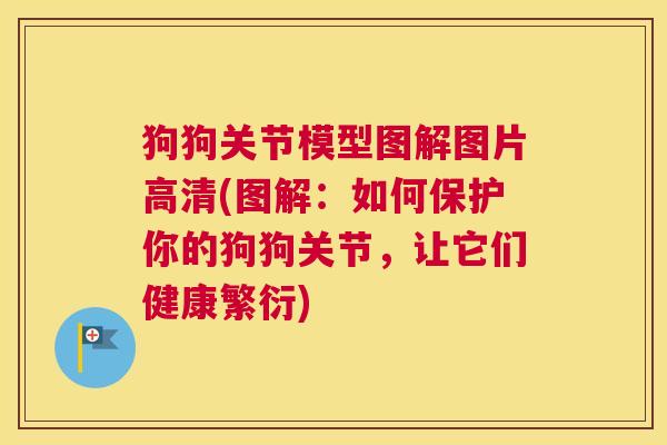 狗狗关节模型图解图片高清(图解：如何保护你的狗狗关节，让它们健康繁衍)