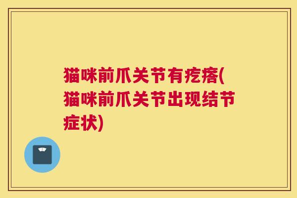 猫咪前爪关节有疙瘩(猫咪前爪关节出现结节症状) 猫咪前爪关节有疙瘩(猫咪前爪关节出现结节症状)