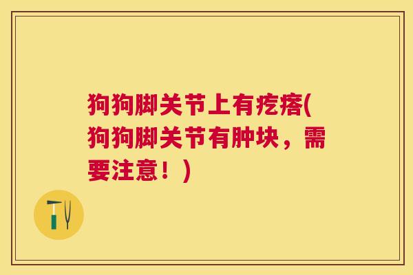 狗狗脚关节上有疙瘩(狗狗脚关节有肿块，需要注意！)