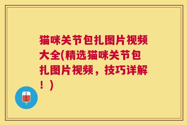 猫咪关节包扎图片视频大全(精选猫咪关节包扎图片视频，技巧详解！)