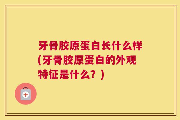 牙骨胶原蛋白长什么样(牙骨胶原蛋白的外观特征是什么？)