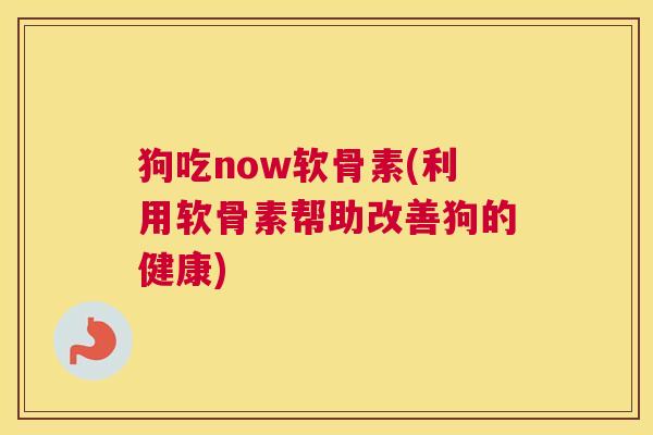 狗吃now软骨素(利用软骨素帮助改善狗的健康)