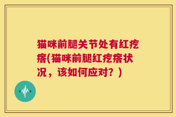 猫咪前腿关节处有红疙瘩(猫咪前腿红疙瘩状况，该如何应对？)