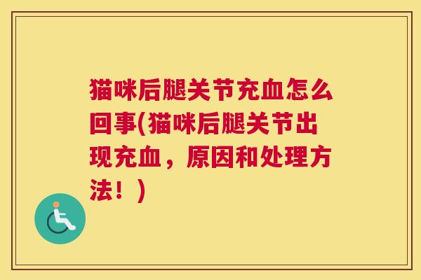 猫咪后腿关节充血怎么回事(猫咪后腿关节出现充血，原因和处理方法！)