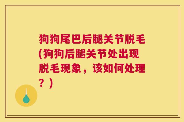 狗狗尾巴后腿关节脱毛(狗狗后腿关节处出现脱毛现象，该如何处理？)