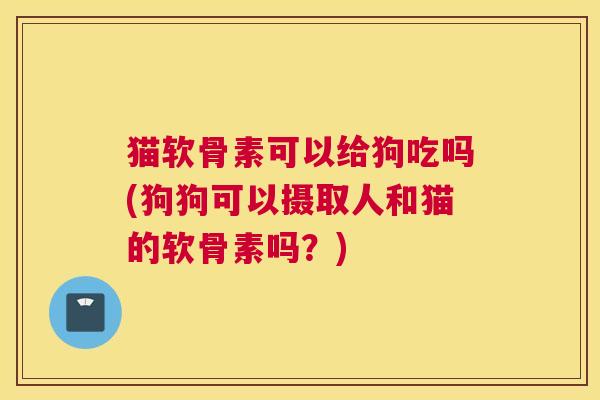 猫软骨素可以给狗吃吗(狗狗可以摄取人和猫的软骨素吗？)