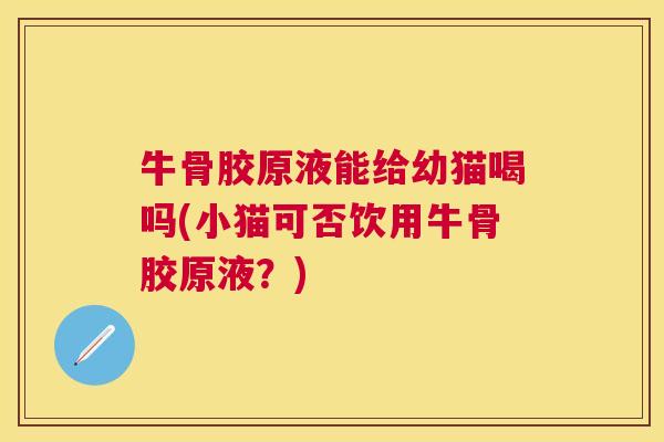牛骨胶原液能给幼猫喝吗(小猫可否饮用牛骨胶原液？)