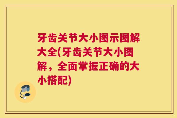 牙齿关节大小图示图解大全(牙齿关节大小图解，全面掌握正确的大小搭配)