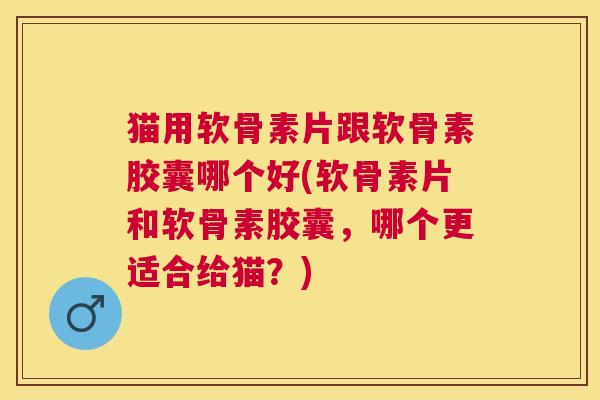 猫用软骨素片跟软骨素胶囊哪个好(软骨素片和软骨素胶囊，哪个更适合给猫？)