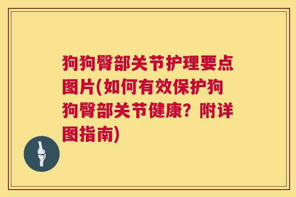 狗狗臀部关节护理要点图片(如何有效保护狗狗臀部关节健康？附详图指南)