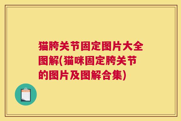 猫胯关节固定图片大全图解(猫咪固定胯关节的图片及图解合集)