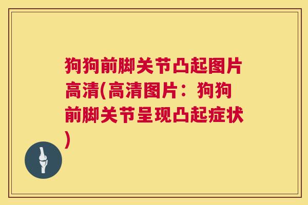 狗狗前脚关节凸起图片高清(高清图片：狗狗前脚关节呈现凸起症状)