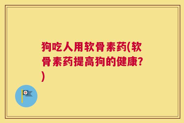 狗吃人用软骨素药(软骨素药提高狗的健康?)