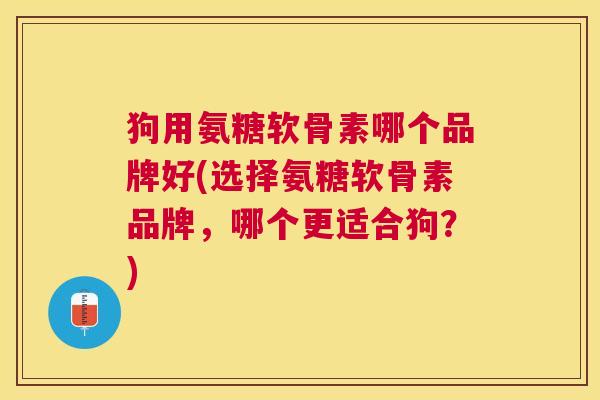 狗用氨糖软骨素哪个品牌好(选择氨糖软骨素品牌，哪个更适合狗？)