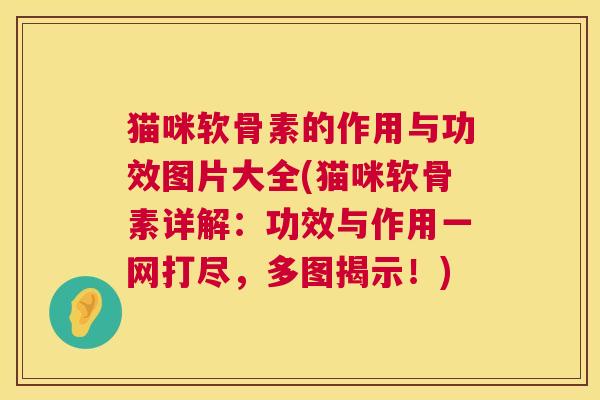 猫咪软骨素的作用与功效图片大全(猫咪软骨素详解：功效与作用一网打尽，多图揭示！)