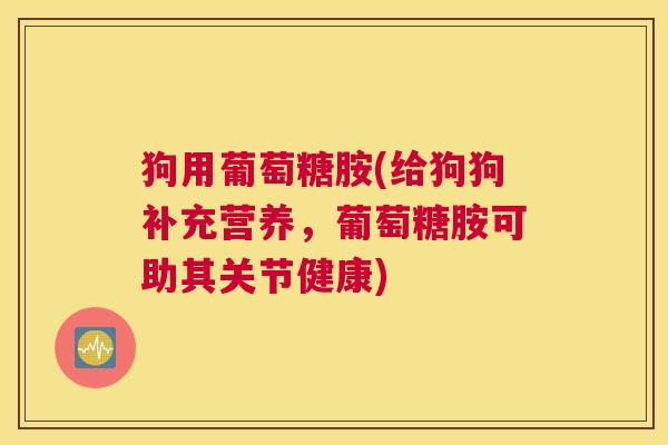 狗用葡萄糖胺(给狗狗补充营养，葡萄糖胺可助其关节健康)