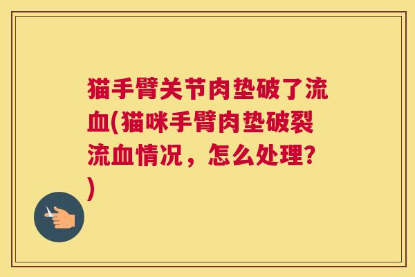 猫手臂关节肉垫破了流血(猫咪手臂肉垫破裂流血情况，怎么处理？)