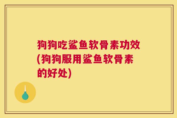 狗狗吃鲨鱼软骨素功效(狗狗服用鲨鱼软骨素的好处)