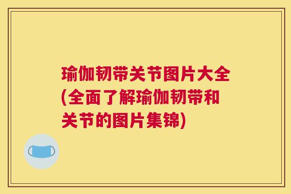 瑜伽韧带关节图片大全(全面了解瑜伽韧带和关节的图片集锦)