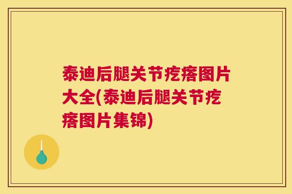 泰迪后腿关节疙瘩图片大全(泰迪后腿关节疙瘩图片集锦)