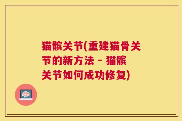 猫髌关节(重建猫骨关节的新方法 - 猫髌关节如何成功修复)