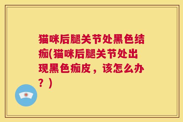 猫咪后腿关节处黑色结痂(猫咪后腿关节处出现黑色痂皮，该怎么办？)