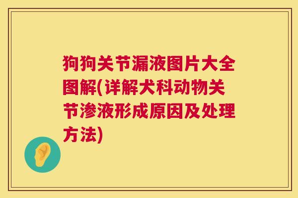 狗狗关节漏液图片大全图解(详解犬科动物关节渗液形成原因及处理方法)