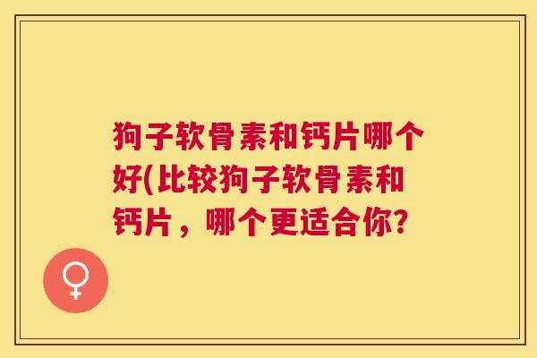 狗子软骨素和钙片哪个好(比较狗子软骨素和钙片，哪个更适合你？