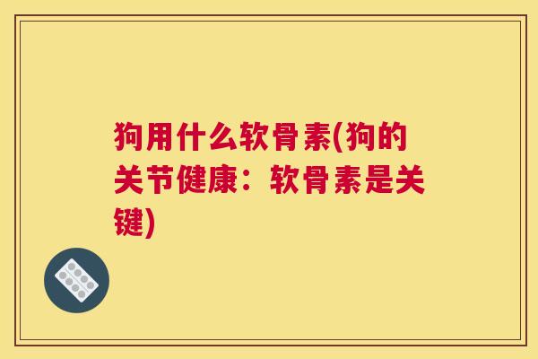 狗用什么软骨素(狗的关节健康：软骨素是关键)