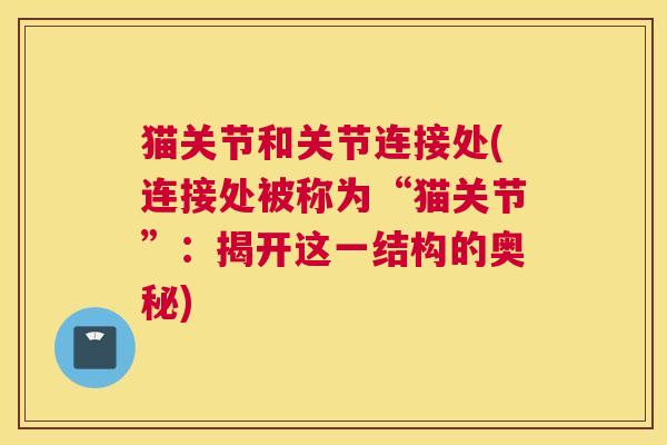 猫关节和关节连接处(连接处被称为“猫关节”：揭开这一结构的奥秘)