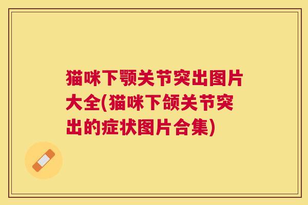 猫咪下颚关节突出图片大全(猫咪下颌关节突出的症状图片合集)
