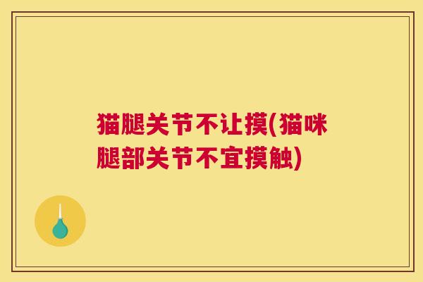 猫腿关节不让摸(猫咪腿部关节不宜摸触)
